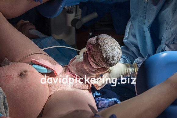 DPP_9614-53