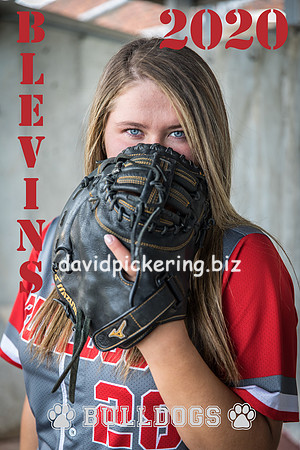 blevins