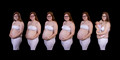 10x20 timeline paden jpg