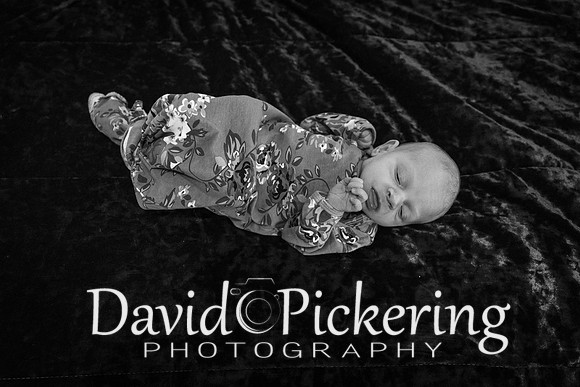 DPP_4754-95