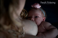 DPP_0317-16