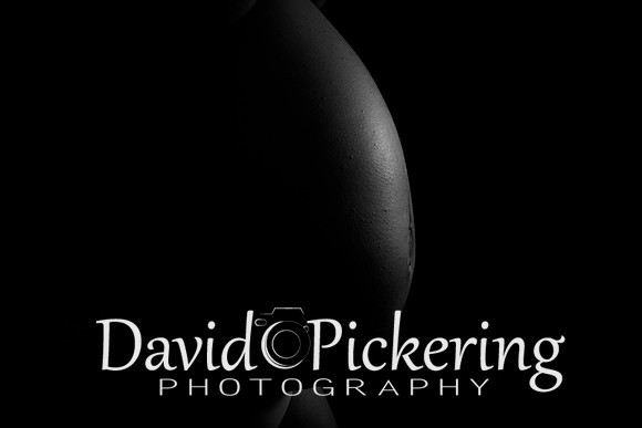 DPP_5497-32