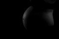 DPP_4558-18