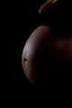 DPP_4560-19