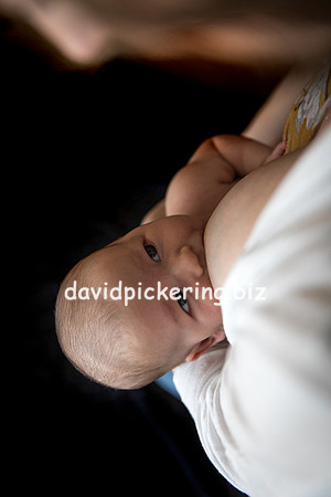 DPP_6632-22