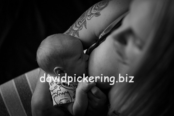 DPP_6318-17