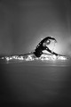 lights 2020 (16)