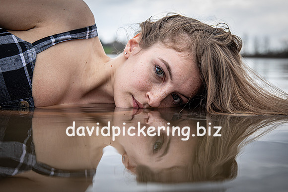 DP2_2295-11