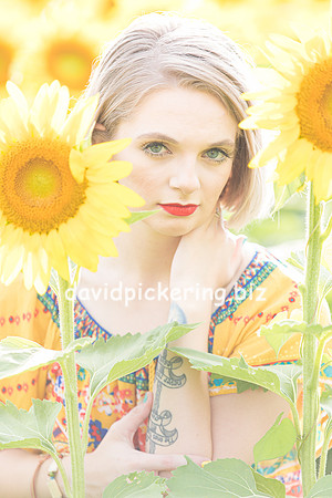 DPP_0643-6