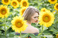 DPP_0687-19