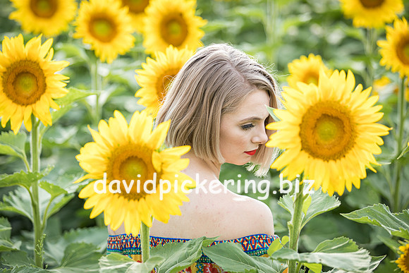DPP_0687-19