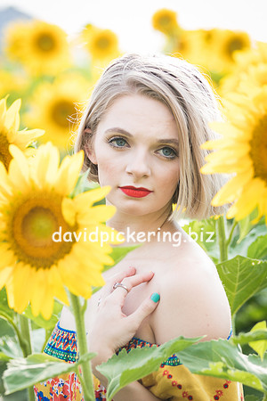 DPP_0682-16