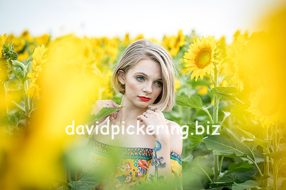 DPP_0711-27