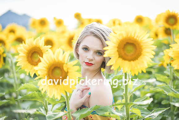 DPP_0675-13