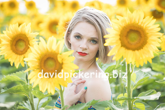 DPP_0677-14
