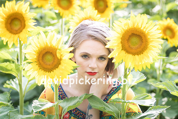 DPP_0665-10