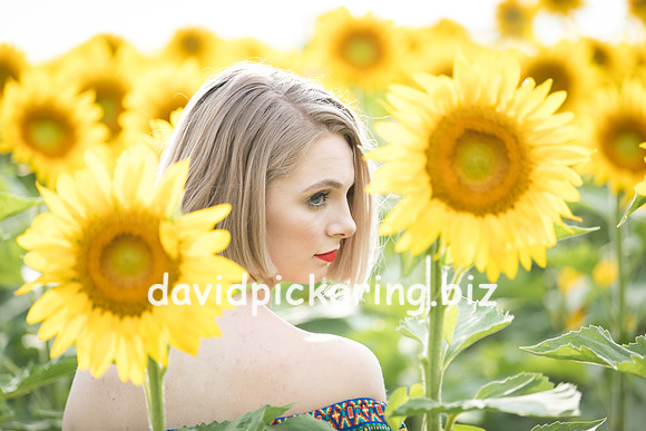 DPP_0684-18