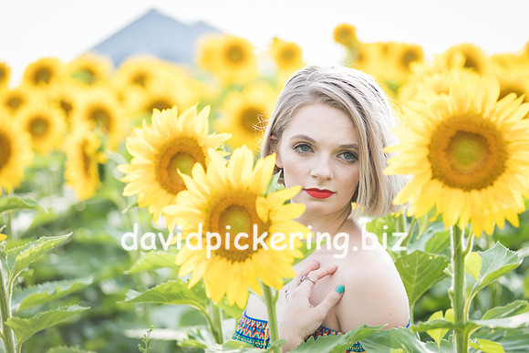 DPP_0680-15