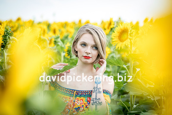 DPP_0716-29