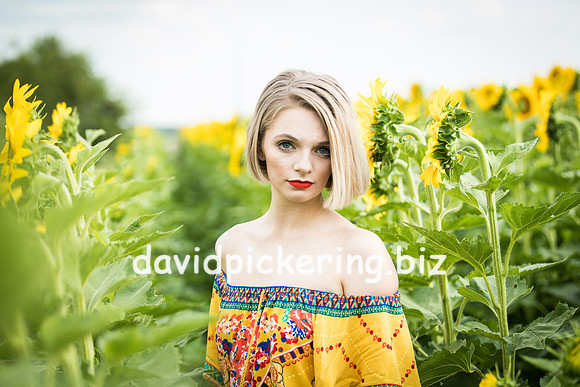 DPP_0692-20