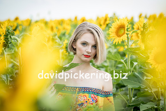 DPP_0704-25