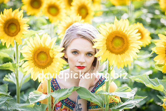 DPP_0659-9