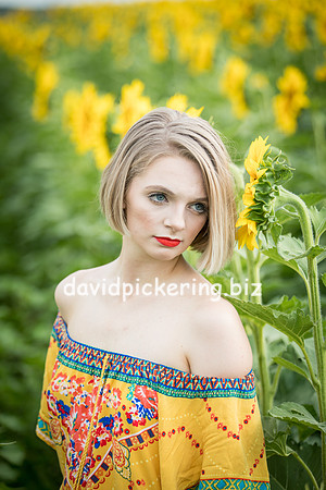 DPP_0697-23