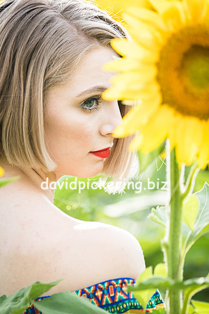 DPP_0683-17