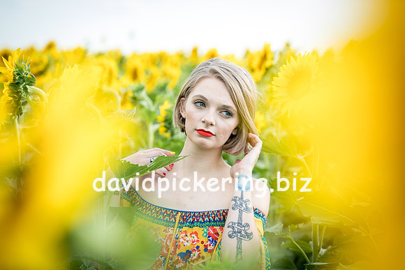 DPP_0713-28