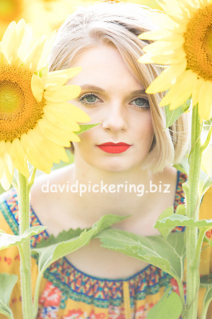 DPP_0632-3