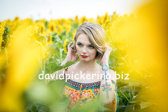DPP_0708-26