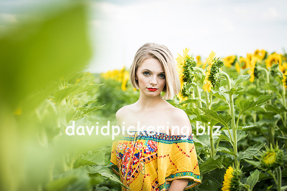 DPP_0694-21