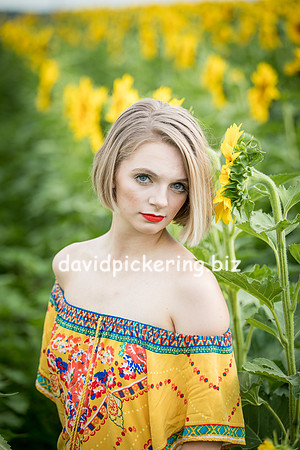 DPP_0699-24