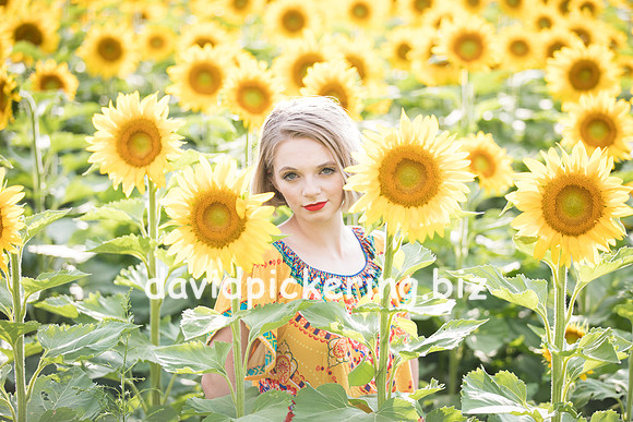 DPP_0673-12