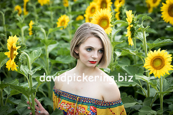 DPP_0717-30