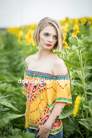 DPP_0696-22