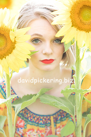 DPP_0629-2