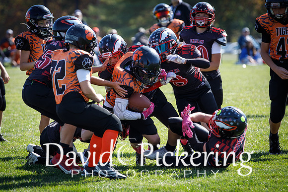 DPP_2720-25