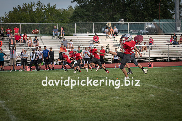 DPP_7246-19