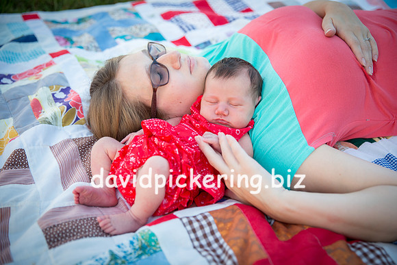 DPP_7284-41