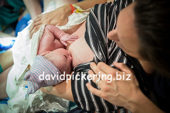 DPP_6560-264