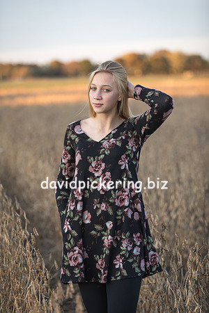 DPP_8263-102