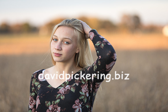 DPP_8262-101