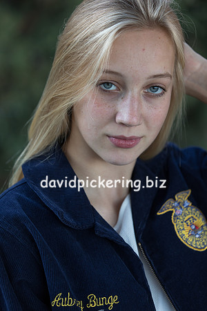 DPP_8001-22
