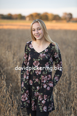DPP_8254-98
