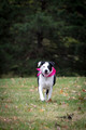 DPP_4566-20