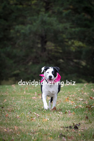 DPP_4566-20