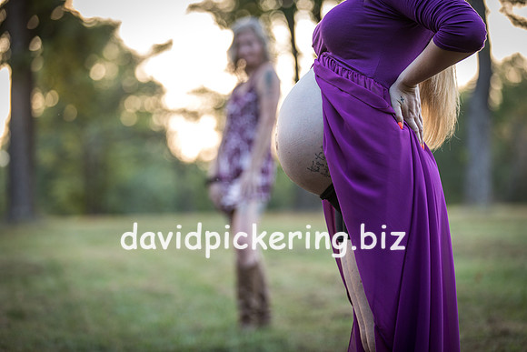 DPP_1392-71