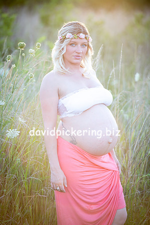 DPP_1830-97