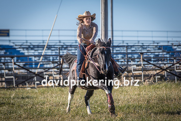 DPP_1681-16
